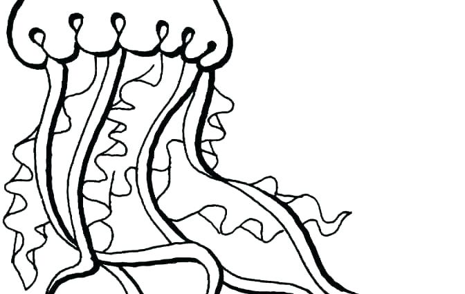 672x425 Cute Jellyfish Coloring Pages Page Color Picture Of For Example