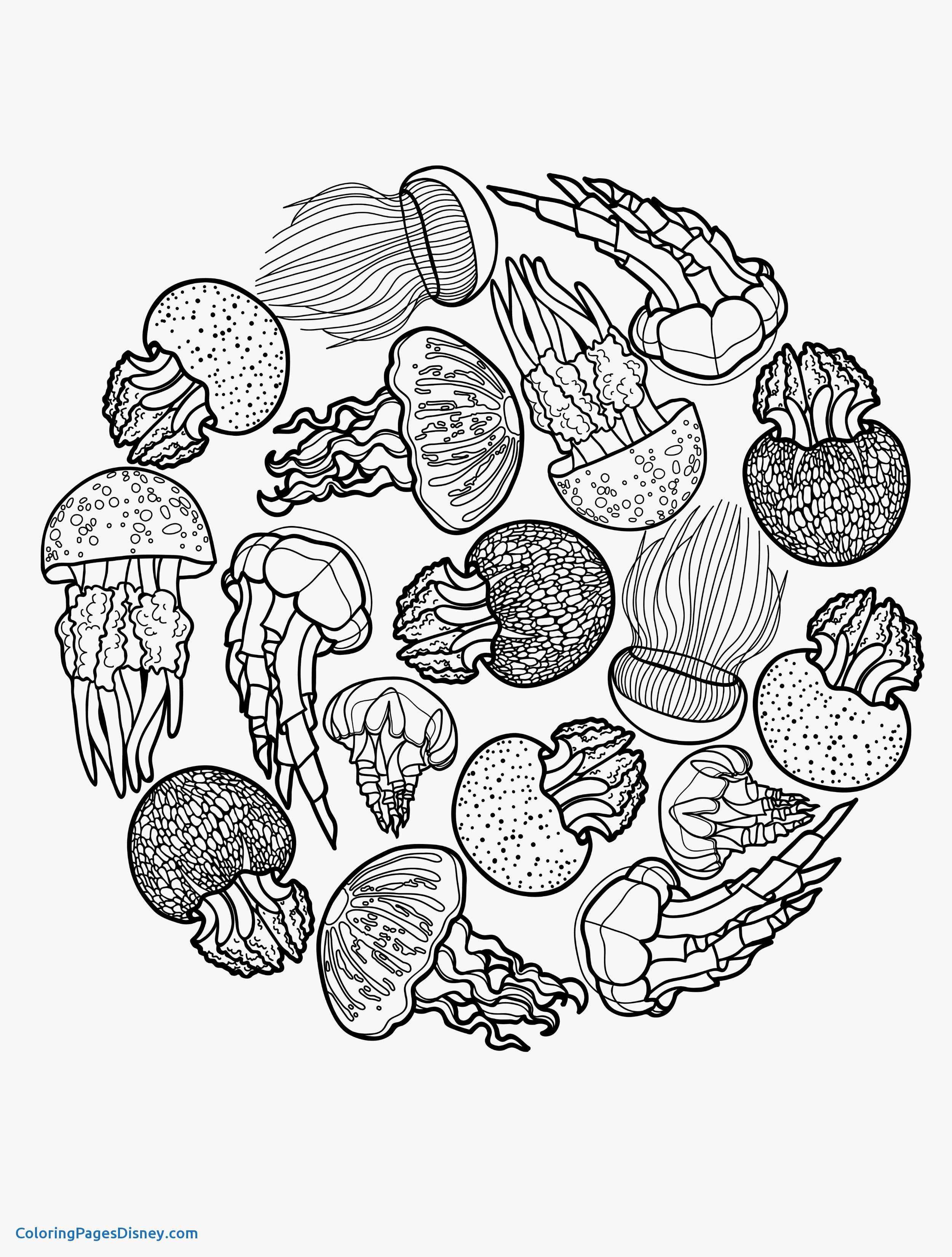 2500x3300 Jellyfish Coloring Pages Elegant Marvelous Cute Jellyfish Coloring