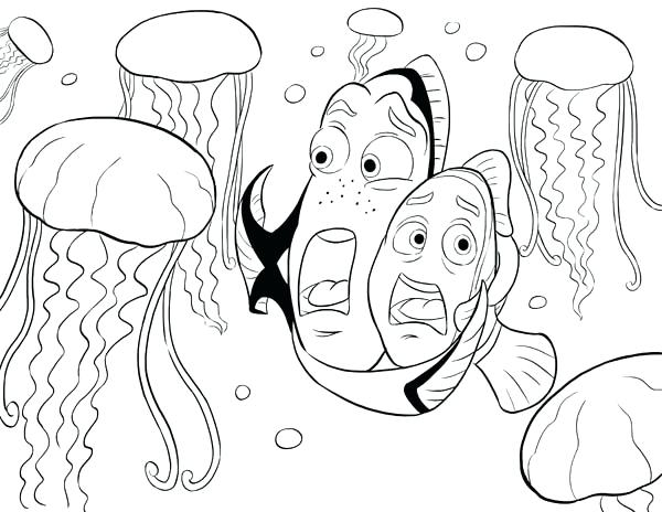 600x464 Jellyfish Coloring Pages Image Of View Full Size More Cute