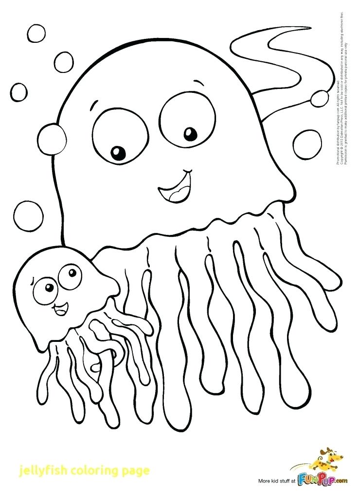 738x1024 Best Coloring Pages Beach Fish Fish Coastal Jelly Fish Coloring