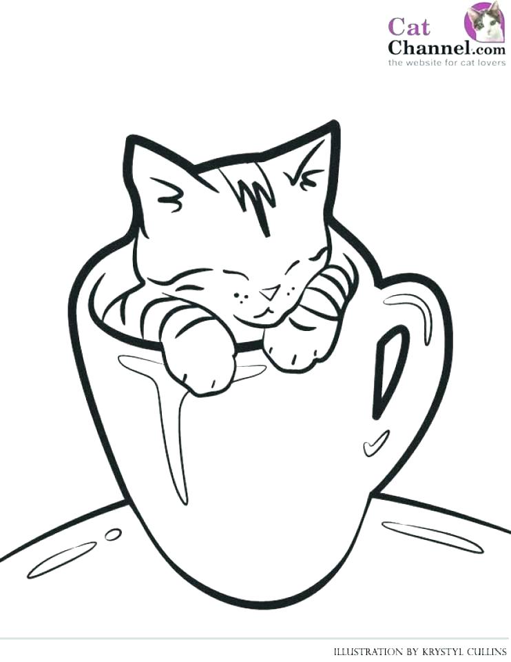 742x960 Puppy And Kitty Coloring Pages Extraordinary Baby Kittens Coloring