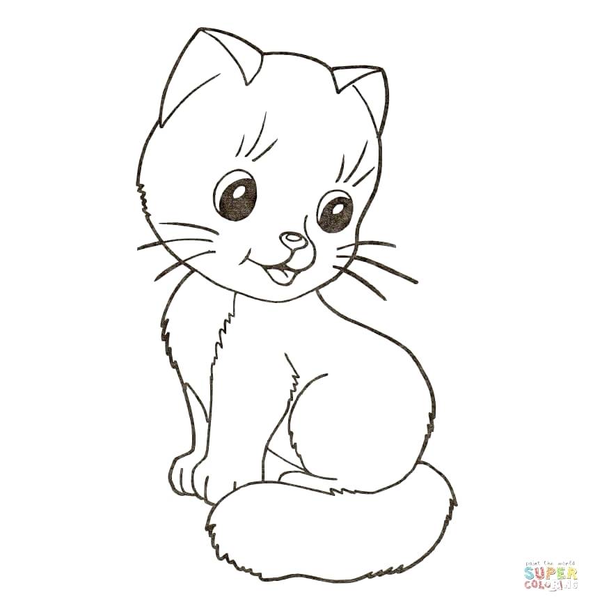 Free Kitty Cat Coloring Or Cute Kitten Coloring Page Free 852x870 Free Kitty Cat Coloring Or Cute Kitten Coloring Page Free