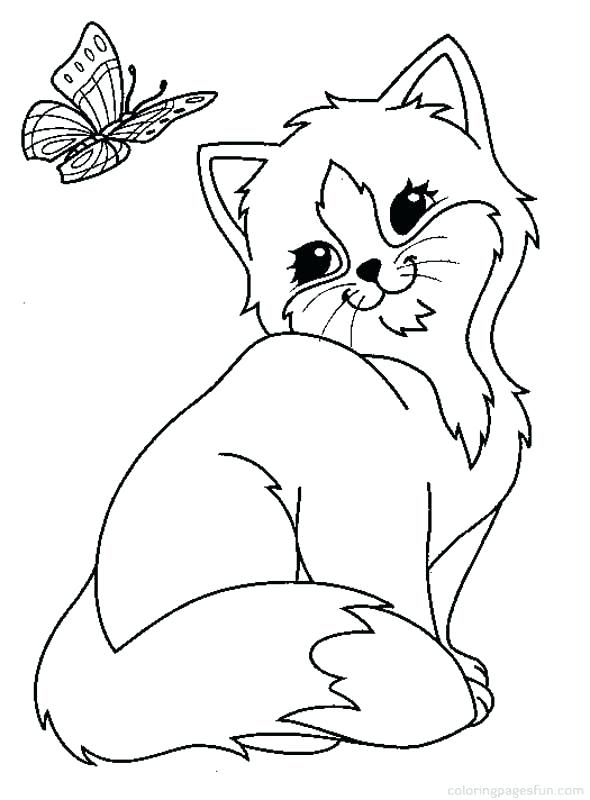 Kitten Coloring Page Cats And Kitten Coloring Pages Kids Cat Free 590x800 Kitten Coloring Page Cats And Kitten Coloring Pages Kids Cat Free