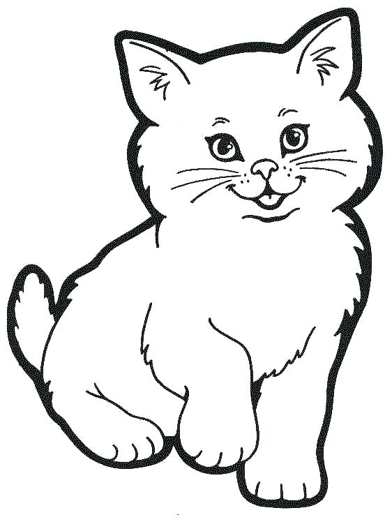 552x761 Marvelous Baby Cat Coloring Pages Cute Kitty Coloring Pages
