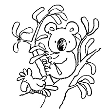230x230 Koala Coloring Pages