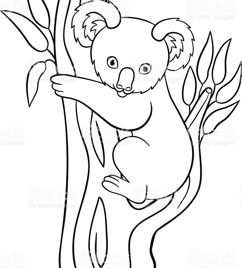 781x864 Printable Koala Coloring Page Swinging Free Pages Animals Baby