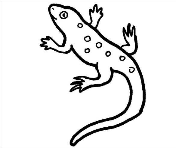 Lizard Templates, Crafts Amp Colouring Pages Free Amp Premium 585x494 Lizard Templates, Crafts Amp Colouring Pages Free Amp Premium