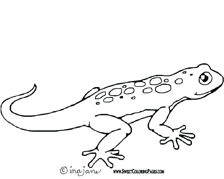 Cute Lizard Coloring Pages at GetColorings.com | Free printable ...