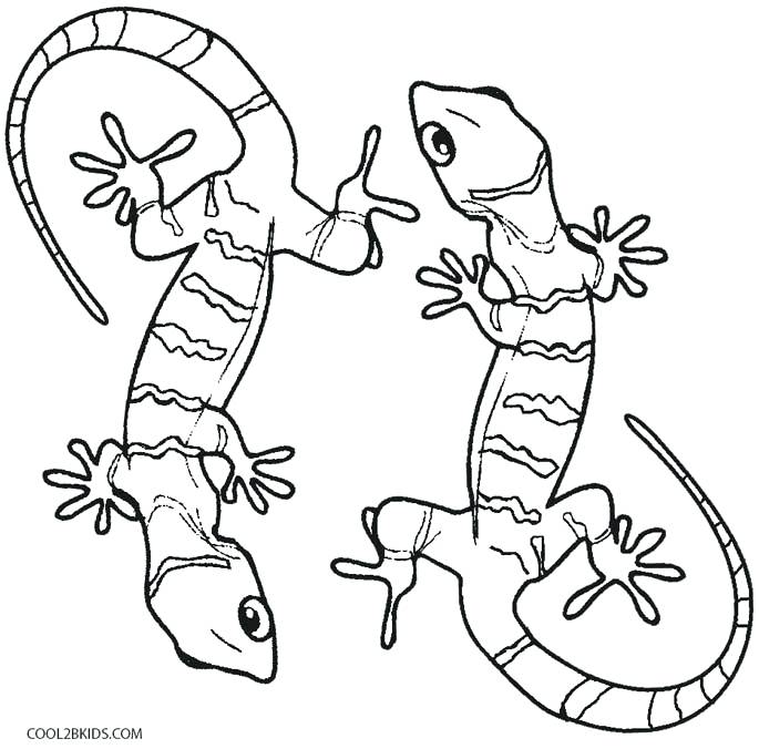 Lizard Coloring Pages Lizard Coloring Pages Cute Lizard Coloring 685x676 Lizard Coloring Pages Lizard Coloring Pages Cute Lizard Coloring