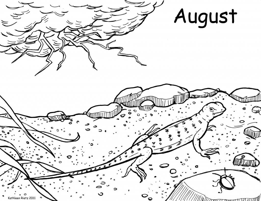 Printable Lizard Coloring Pages Animals Page Cute Frilled 1024x790 Printable Lizard Coloring Pages Animals Page Cute Frilled