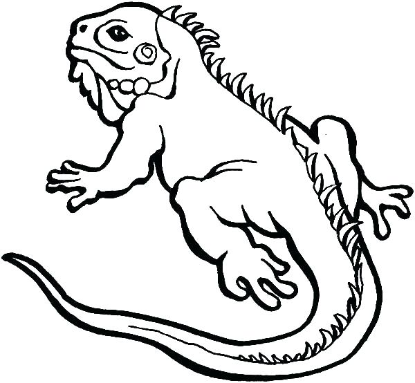 Cute Lizard Coloring Pages at GetColorings.com | Free printable ...
