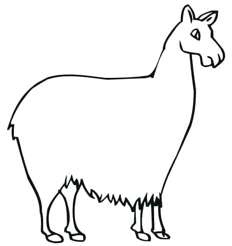 Cute Llama Coloring Pages at GetColorings.com | Free printable ...