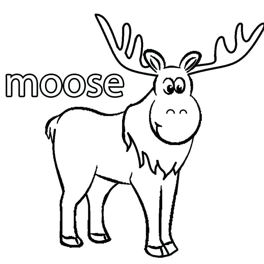 850x850 Excellent Decoration Moose Coloring Pages Animal Cute Page