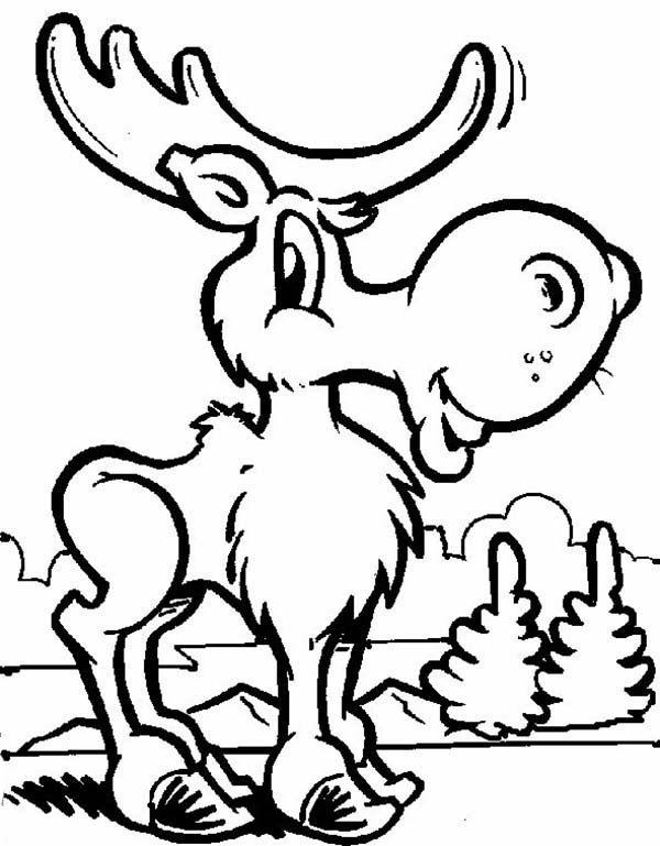 600x769 Funny Moose Coloring Page