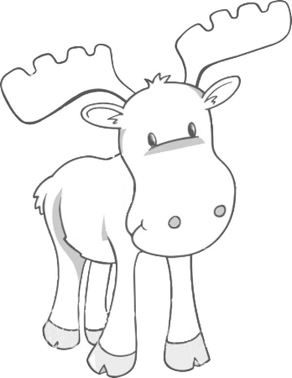 600x776 Moose Coloring Page Too Freaking Cute! Graphicstemplates