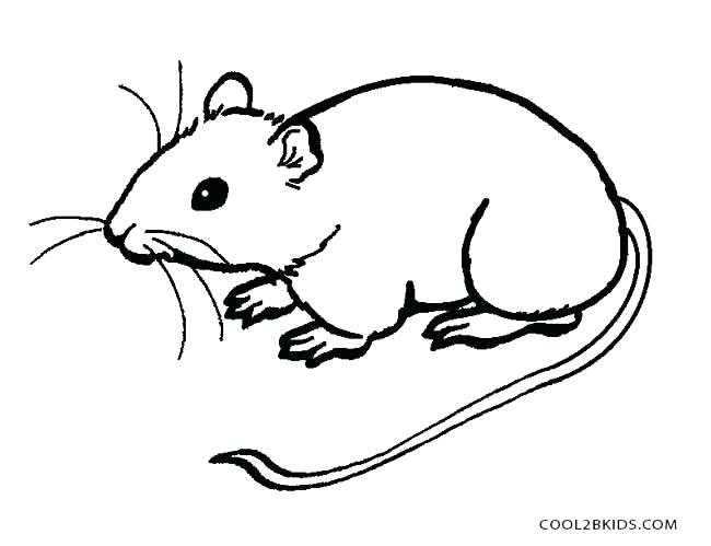 650x499 Coloring Picture Of A Mouse Mouse Coloring Pages Printable