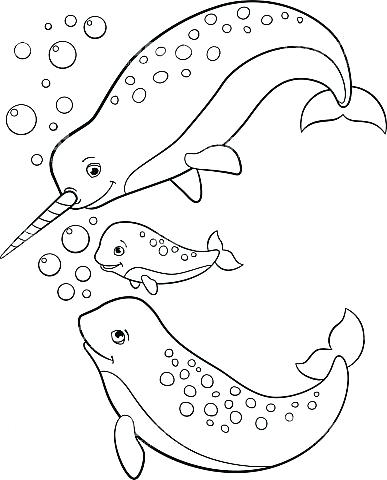 Good Narwhal Coloring Page And Narwhal 87 Cute Narwhal Coloring 387x480 Good Narwhal Coloring Page And Narwhal 87 Cute Narwhal Coloring