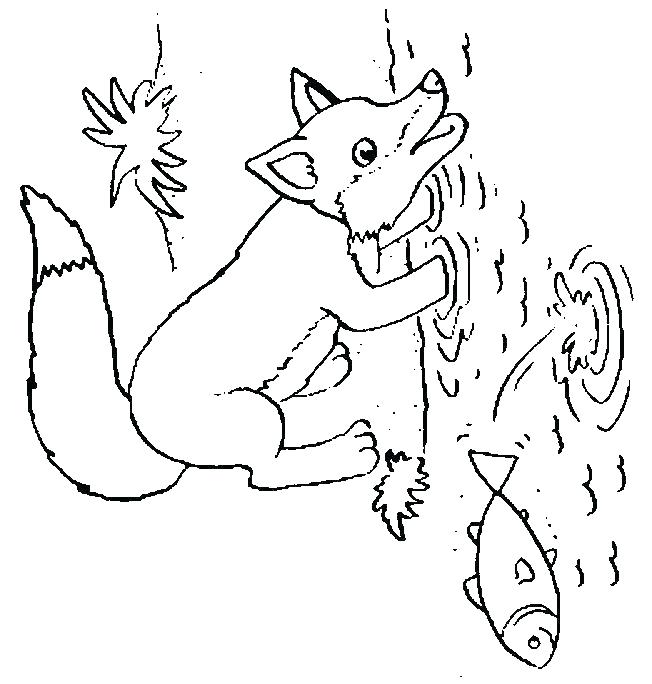 Baby Fox Coloring Pages Spotted Tailed Coloring Pages Coloring 652x684 Baby Fox Coloring Pages Spotted Tailed Coloring Pages Coloring