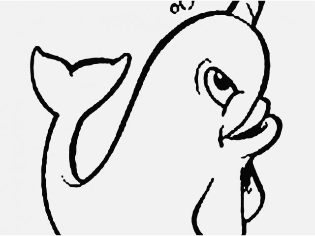 Copyright Free Coloring Pages Image Cute Narwhal Coloring Pages 640x480 Copyright Free Coloring Pages Image Cute Narwhal Coloring Pages