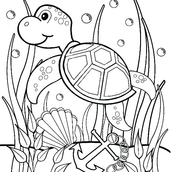Cute Turtle Coloring Pages Turtle Turtle Coloring Page Cute Ninja 570x576 Cute Turtle Coloring Pages Turtle Turtle Coloring Page Cute Ninja