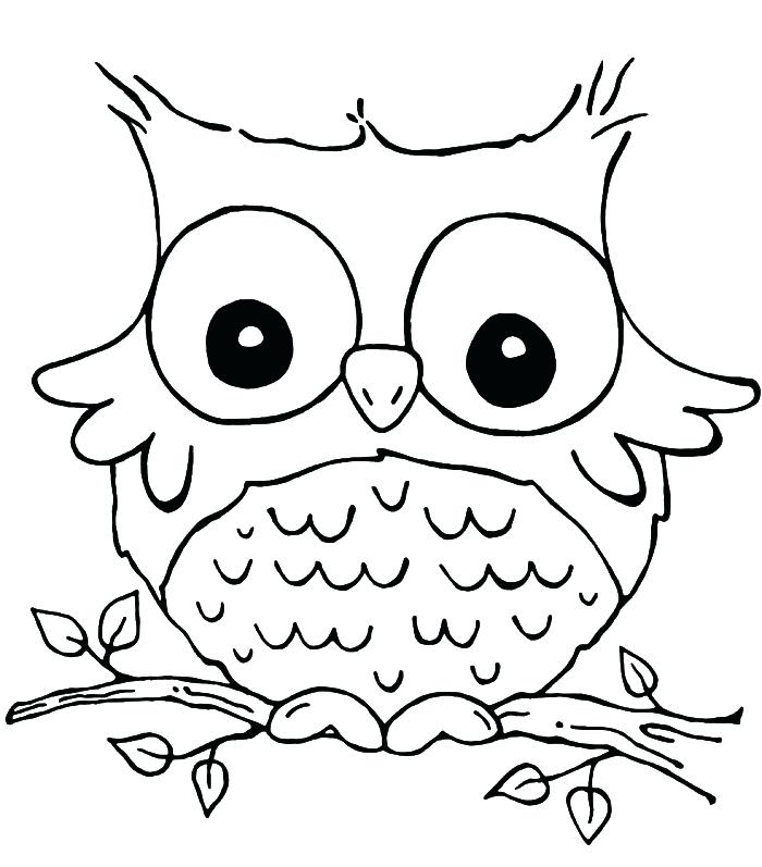700x797 Connect The Dots To Draw The Cute Owl And Color It Owl Coloring