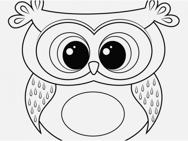 640x480 Cute Owl Coloring Pages Footage Approved Printable Owl Cartoon