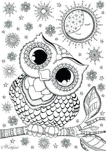 360x509 Cute Owl Coloring Pages For Adults