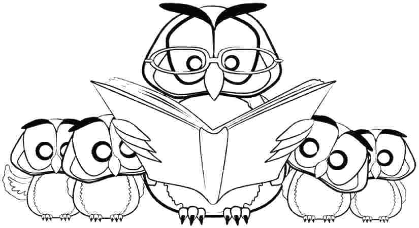 Cute Owl Coloring Pages Owl Color Sheet Owl Printable Coloring 825x450 Cute Owl Coloring Pages Owl Color Sheet Owl Printable Coloring