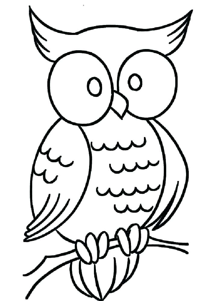 Cute Owl Coloring Pages To Print Owl Printable Coloring Pages Cute 744x1000 Cute Owl Coloring Pages To Print Owl Printable Coloring Pages Cute