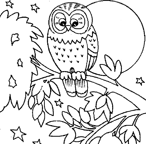 Cute Owl Is Dreamy Coloring Pages 600x591 Cute Owl Is Dreamy Coloring Pages
