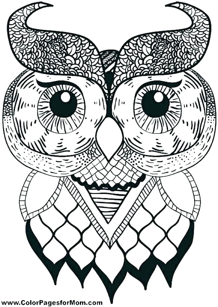 Free Printable Cute Owl Coloring Pages Coloring Page Of An Owl 729x1024 Free Printable Cute Owl Coloring Pages Coloring Page Of An Owl