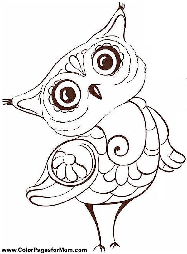 Sweet Looking Cute Owl Printable Coloring Pages Best 25 Ideas 600x812 Sweet Looking Cute Owl Printable Coloring Pages Best 25 Ideas