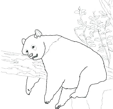 Cute Panda Coloring Pages