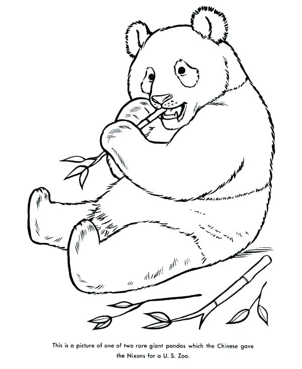 600x734 Cute Panda Coloring Pages Panda Coloring Sheet Cute Panda Coloring