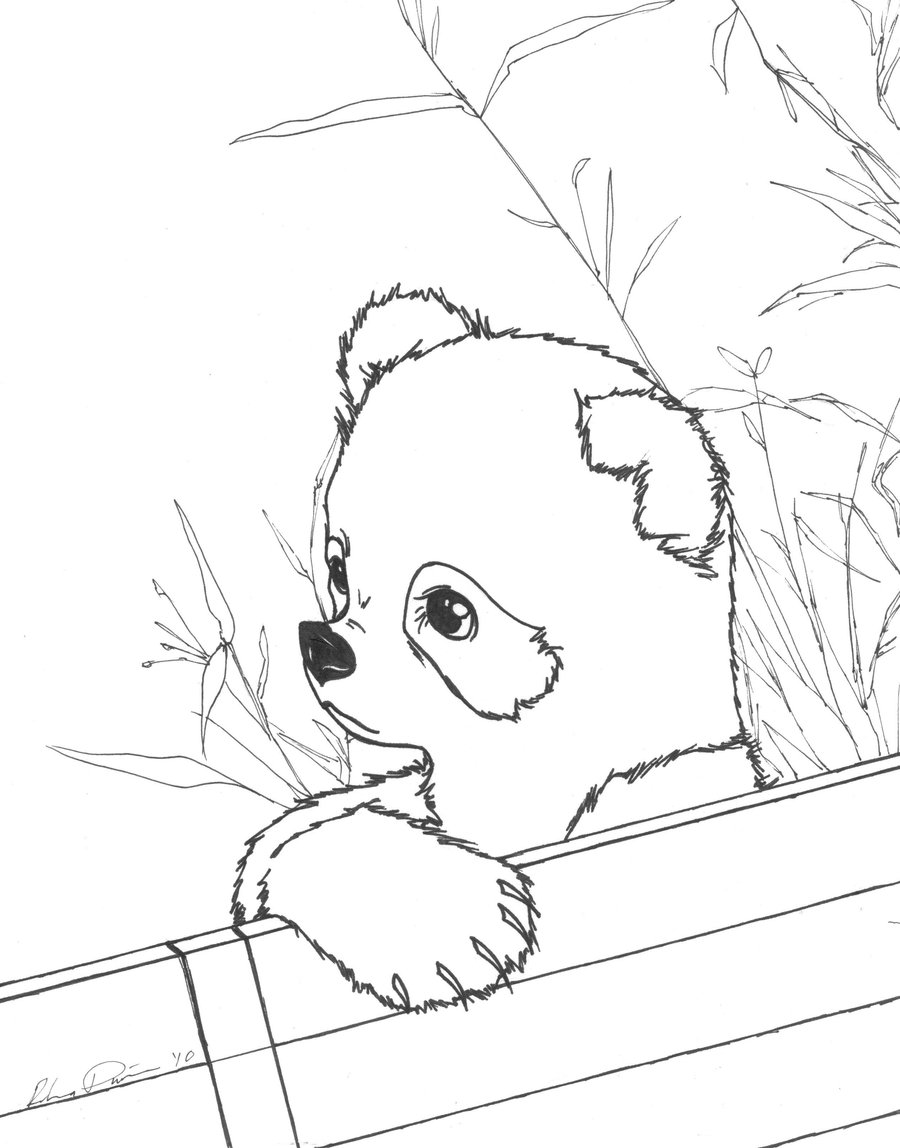 900x1148 Cute Red Panda Coloring Pages