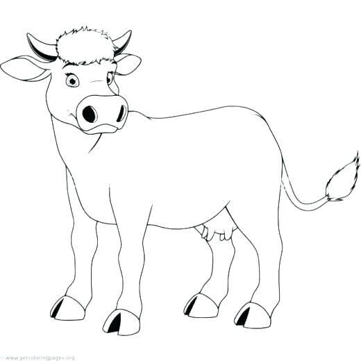 520x520 Cute Panda Coloring Pages Lawman.site