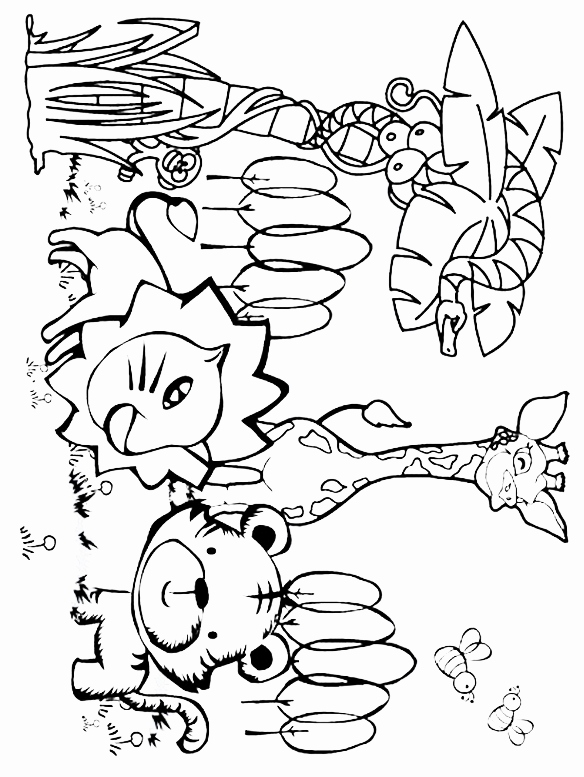 Cute Parrot Coloring Pages Images Coloring Pages Of Jungle Animals 584x777 Cute Parrot Coloring Pages Images Coloring Pages Of Jungle Animals