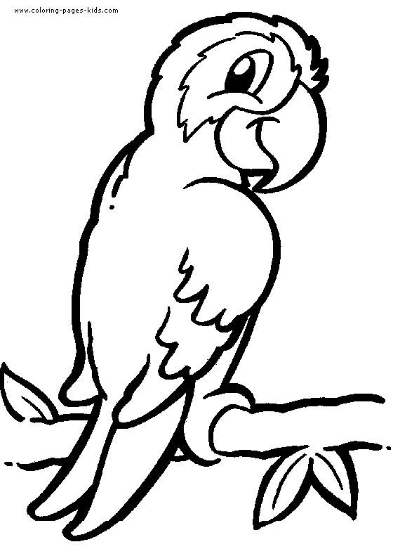 Detailed Animal Coloring Pages Parrot Coloring Pages, Color 560x781 Detailed Animal Coloring Pages Parrot Coloring Pages, Color