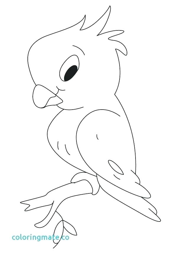 Parrot Coloring Page Coloring Pages Of Parrots Big Parrot Coloring 613x860 Parrot Coloring Page Coloring Pages Of Parrots Big Parrot Coloring