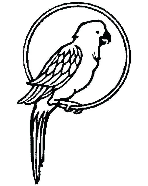 Parrot Coloring Page Coloring Pages Parrots Coloring Pages 600x754 Parrot Coloring Page Coloring Pages Parrots Coloring Pages