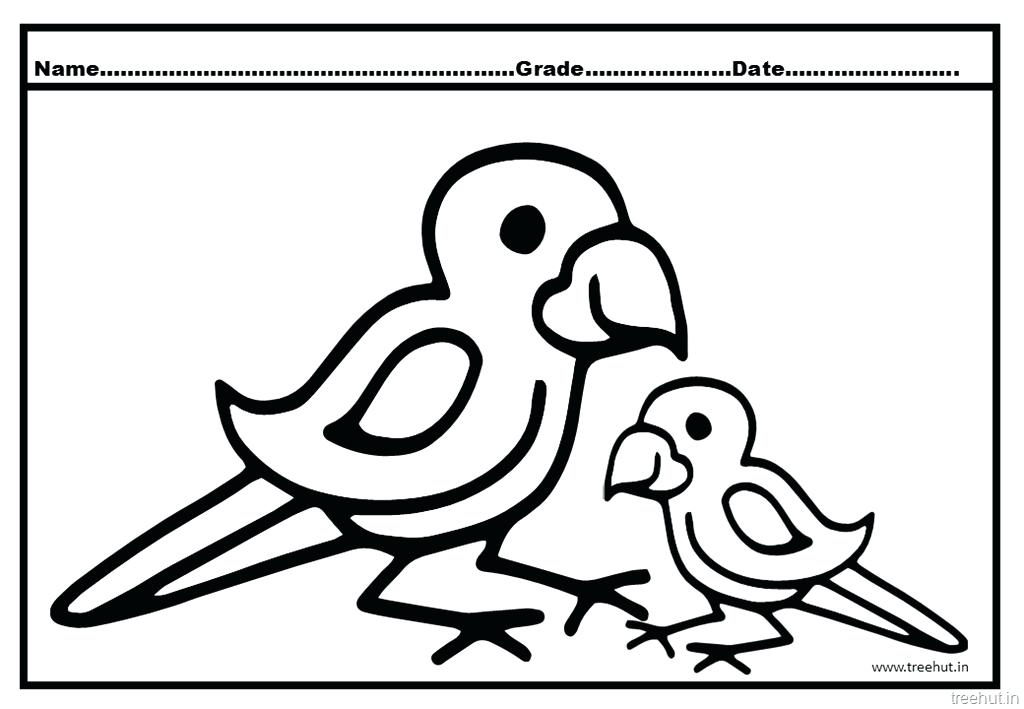 Parrot Coloring Pages Cute Parrot Coloring Pages 1024x709 Parrot Coloring Pages Cute Parrot Coloring Pages