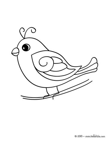 Parrot Picture Coloring Pages 364x470 Parrot Picture Coloring Pages