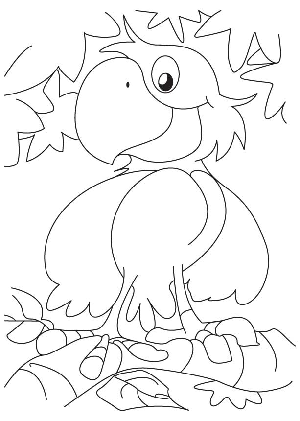 A Cute Happy Parrot Coloring Page Download Free A Cute Happy 613x860 A Cute Happy Parrot Coloring Page Download Free A Cute Happy