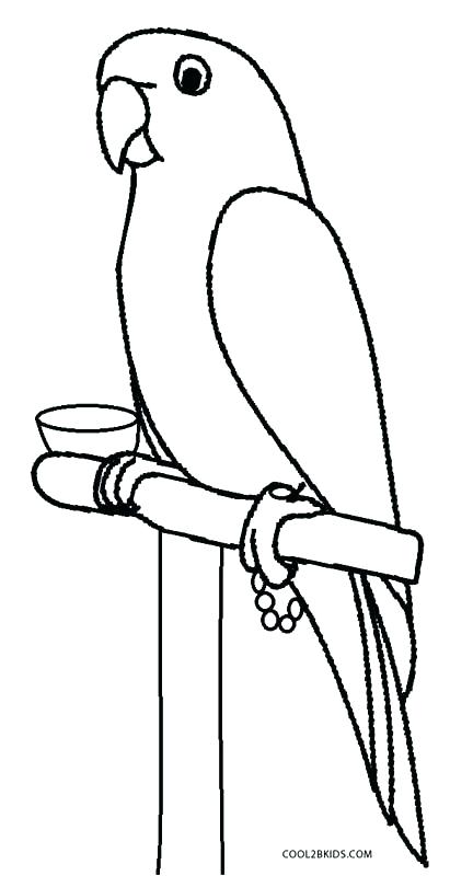 Coloring Pages Parrot Coloring Pages Of Parrots Parrot Picture 432x800 Coloring Pages Parrot Coloring Pages Of Parrots Parrot Picture
