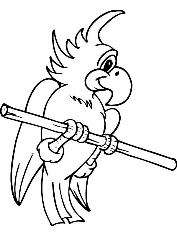 Cute Parrot Coloring Page 600x800 Cute Parrot Coloring Page
