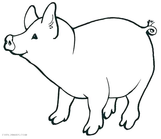 Pigs Coloring Pages For Girls 3