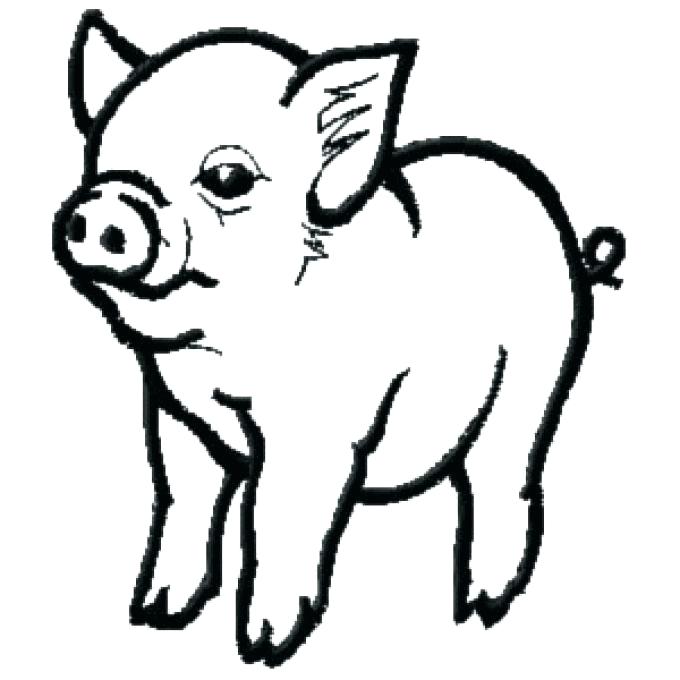 Pig Coloring Pictures Baby Pig Coloring Pages Cute Baby Pig 680x680 Pig Coloring Pictures Baby Pig Coloring Pages Cute Baby Pig