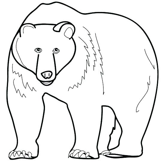 Polar Bear Coloring Pages Last Updated Realistic Polar Bear 544x540 Polar Bear Coloring Pages Last Updated Realistic Polar Bear