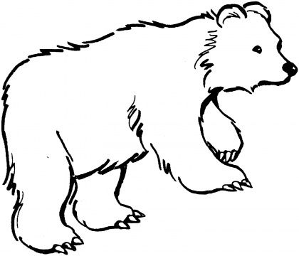 Cute Polar Bear Coloring Pages Coloring Pictures Panda Bears 420x360 Cute Polar Bear Coloring Pages Coloring Pictures Panda Bears