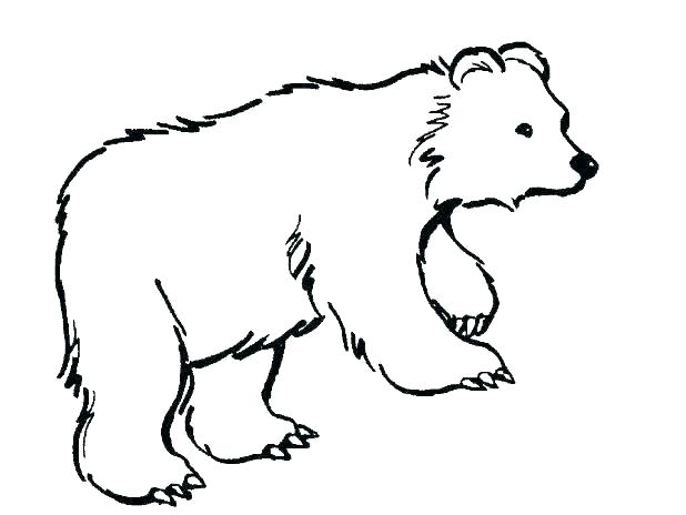 Polar Bears Coloring Pages 618x464 Polar Bears Coloring Pages
